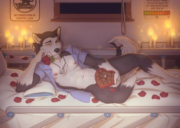 abs anthro bed bottomless box_of_chocolates braided_fur braided_tail candle candlestick candy chest_tuft chocolate clothed clothing dessert fire flower flower_in_mouth food furniture grin grinning_at_viewer hospital hospital_bed lounging male navel nipples nude open_clothing open_shirt open_topwear pantsless plant pose rose_(flower) rose_in_mouth shirt shirt_only sign smile smiling_at_viewer solo tail topwear topwear_only tuft window window_sill zombieze legend_of_ahya sebastian_hrunting canid canine canis mammal wolf hi_res pinup