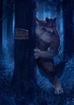 anthro blue_eyes forest hiding male night outside plant scar sign solo tree racoonwolf mythology rakan canid canine canis mammal mythological_canine mythological_creature werecanid werecanine werecreature werewolf wolf 2020 digital_media_(artwork) digital_painting_(artwork) full-length_portrait hi_res portrait