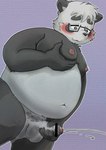 anthro balls black_body black_nose blush bodily_fluids cum ejaculation erection eyewear genital_fluids genitals glasses humanoid_genitalia humanoid_hands humanoid_penis kemono male masturbation moobs nipples overweight overweight_male penis solo white_body pinoren vtuber sasayama_akira bear giant_panda mammal 2022 hi_res