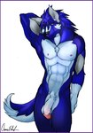 abs anthro badger balls blue_body blue_fur canid canine canis front_view fur genitals hybrid male mammal muscular mustelid musteline mythological_canine mythological_creature mythology nude owen_(disambiguation) owen_edwolf pecs penis solo were werecanid werecanine werewolf wolf