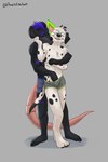 2:3 absurd_res anthro black_body black_fur canid canine canis clothing dalmatian domestic_dog duo eyewear fur glasses groping_crotch groping_from_behind hair hi_res hug hugging_from_behind hustifthebat kissing_neck long_tail lucky_dalmatian male male/male mammal murid murine purple_hair rat rodent rydertherat tail underwear white_body white_fur