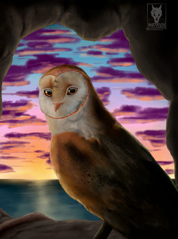 ambiguous_gender beak brown_body brown_eyes brown_feathers detailed_background feathered_wings feathers gradient_sky multicolored_sky outside purple_clouds sky solo sunset water white_body white_feathers wings nidrox guardians_of_ga'hoole soren_(gogh) avian barn_owl bird owl tyto tytonid western_barn_owl 2018 digital_media_(artwork) digital_painting_(artwork) hi_res painting_(artwork) shaded