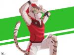 countershading male solo sharparadise nekojishi studio_klondike shu-chi felid feline leopard_cat mammal prionailurus 4:3