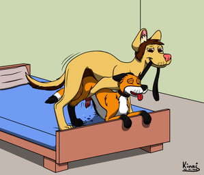 anal animal_genitalia animal_penis bed bodily_fluids canine_genitalia canine_penis collar cum dominant dominant_male duo erection feral feral_on_feral furniture genital_fluids genitals knot larger_dom leash leash_pull male male/male nude penis sex size_difference submissive submissive_male kinaj dusty_(dustinl03) nick_(kinaj) canid canine canis domestic_dog fox mammal