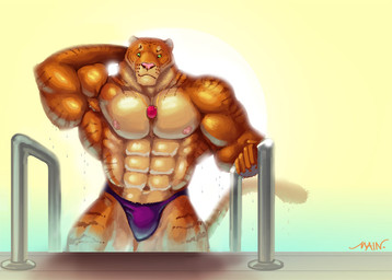 anthro areola armpit_hair big_muscles body_hair clothed clothing green_eyes huge_muscles jewelry male muscular muscular_anthro muscular_male necklace nipples partially_clothed solo speedo sunset swimming_pool swimwear water wet purrcules_(artist) purrcules_(character) felid hybrid liger lion mammal pantherine tiger 2011