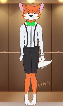 3_toes anthro barefoot biped black_bottomwear black_clothing black_pants blue_eyes bottomwear bow_tie cheek_tuft clothed clothing countershade_face countershade_fur countershading desperation elevator eyebrow_through_hair eyebrows facial_tuft feet freckles fully_clothed fur green_bow_tie hair head_tuft inside male omorashi orange_body orange_fur orange_hair pants pink_inner_ear potty_dance shirt shorts solo standing suspenders tail text toes topwear translucent translucent_hair tuft white_body white_clothing white_fur white_shirt white_topwear citris dax_(hewwo123) canid canine fox mammal 2024 absurd_res animated artist_name blender_(artwork) digital_media_(artwork) hi_res huge_filesize long_playtime no_sound video