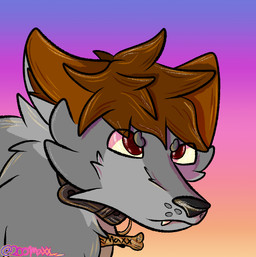 anthro brown_hair collar collar_only fur grey_body grey_fur hair male nude red_eyes serious_face solo 2001maxx conditional_dnp maxx_(2001maxx) canid canine canis domestic_dog husky mammal nordic_sled_dog spitz icon
