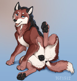 animal_genitalia animal_vulva anus arm_tuft black_anus black_body black_claws black_ears black_fur black_nose black_pawpads black_vulva blue_eyes butt canine_genitalia canine_vulva cheek_tuft claws detailed_fur elbow_tuft eye_scar eyebrows facial_scar facial_tuft feet female feral fur genitals hip_tuft looking_at_viewer markings multicolored_body multicolored_fur neck_tuft open_mouth pawpads paws pink_body pink_fur raised_leg red_body red_fur scar simple_background sitting sitting_on_ground smile solo tail tail_tuft teeth toes tongue tuft vulva white_body white_eyebrows white_fur white_inner_ear conditional_dnp tgt1512 brielle_(wolffylegend) canid canine canis mammal wolf detailed digital_media_(artwork)