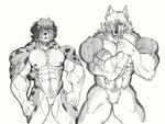 abs anthro barazoku big_muscles body_hair chest_hair duo ears_up fur hair hairy huge_muscles male markings multicolored_body multicolored_fur muscular muscular_anthro muscular_male pecs pubes spots spotted_body spotted_fur vein veiny_muscles pinumontbalou australian_shepherd canid canine canis domestic_dog herding_dog mammal pastoral_dog sheepdog wolf hi_res