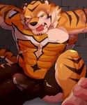 abs angry anthro balls_outline blood bodily_fluids bound bruised_eye bulge captured clothed clothing cum cum_in_clothing cum_through_clothing detailed_bulge erection erection_under_clothing eyebrows fur genital_fluids genital_outline male muscular muscular_anthro muscular_male orange_body orange_fur pecs penis_outline solo striped_body striped_fur stripes superhero thick_eyebrows torn_clothing wet wet_clothing orangetaming lifewonders live_a_hero ryekie_(live_a_hero) felid mammal pantherine tiger absurd_res hi_res