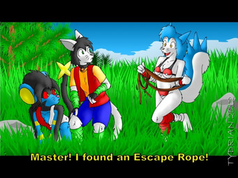 ambiguous_gender anthro anthrofied arm_warmers armwear clothing cloud female grass group leg_warmers legwear male master outside plant pokemorph rope sky smile tail text uniform tydrian nintendo pokemon felid generation_4_pokemon luxray mammal pachirisu pokemon_(species) rodent sciurid 4:3 english_text letterbox subtitled