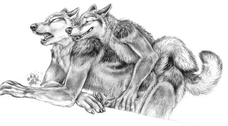 anal anal_penetration animal_genitalia animal_penis anthro canine_genitalia canine_penis claws duo erection eyes_closed finger_claws from_behind_position fur genitals looking_pleasured male male/male nude nude_anthro nude_male obscured_penetration open_mouth penetration penile penile_penetration penis sex simple_background tail teeth tongue tongue_out white_background blotch scratches_volume_6 canid canine mammal 2012 monochrome traditional_media_(artwork)