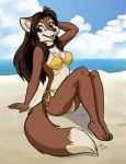 2009 anthro beach bikini biped blue_sky breasts brown_body brown_fur canid canine cheek_tuft choker clothed clothing cloud day detailed_background dhole dingbat dipstick_tail facial_tuft female fur jewelry mammal markings middle_part necklace nina_morena_agil outside pose sand seaside skimpy sky solo swimwear tail tail_markings tan_body tan_fur toony tuft water