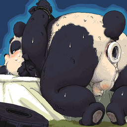 anal anal_penetration anthro anus arms_tied balls belly black_body black_fur blush bodily_fluids bound butt flaccid fur genitals kemono male multicolored_body multicolored_fur overweight overweight_anthro overweight_male penetration penis rope scut_tail short_tail solo sweat tail tail_anus two_tone_body two_tone_fur unknown_artist bear giant_panda mammal 1:1 2007 aliasing digital_media_(artwork) low_res oekaki
