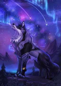 4_toes aurora_(phenomenon) claws countershade_torso countershading eyes_closed feet feral fur grey_body grey_fur grey_tail male night outside paws side_view sky solo star tail toe_claws toes tlt_echelon crow_(vivxian) canid canine canis mammal wolf 2025 digital_media_(artwork) hi_res