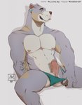 anthro balls blep clothed clothing ear_piercing erection fur genitals grey_background grey_body grey_fur humanoid_genitalia humanoid_penis male muscular muscular_anthro muscular_male nipples partially_clothed penis piercing simple_background sitting solo tattoo thong tongue tongue_out underwear underwear_down nando_wolf canid canine canis domestic_dog mammal pit_bull hi_res