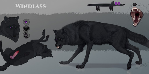animal_genitalia animal_penis anthro anus arctic balls black_body black_fur butt canine_genitalia canine_penis claws digitigrade erection feral finger_claws food fur genitals knot knotted_penis lineup male penis purple_eyes quadruped sheath solo tail text toe_claws valiberite windlass canid canine canis mammal wolf 2022 absurd_res hi_res line_art model_sheet shaded signature