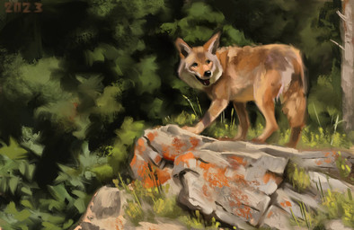 black_nose feral forest fur grass on_rock open_mouth plant quadruped rock shrub solo tan_body tan_fur tree alexpahomov canid canine canis coyote mammal 2023 detailed digital_media_(artwork) digital_painting_(artwork) painting_(artwork)