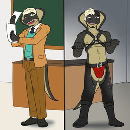 accessory anthro belt blazer blonde_hair boots bottomwear bulge chalkboard chaps clothed clothed_anthro clothed_male clothing collared_shirt crotchless_bottomwear crotchless_clothing crotchless_pants desk dress_shirt facial_hair fangs footwear fully_clothed fully_clothed_anthro fully_clothed_male furniture hair harness holding_object holding_paper holding_riding_crop holding_whip male male_anthro navel necktie nipples non-mammal_nipples olive_eyes pants paper platinum_blonde professor riding_crop shadow shirt shoes snake_hood solo standing sweater sweater_vest table tail teeth topless topless_anthro topless_male topwear underwear vest whip fuze texnatsu percival_(texnatsu) cobra reptile scalie snake 1:1 hi_res shaded
