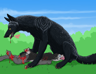 animal_genitalia animal_penis anthro anthro_on_feral anthro_penetrated anthro_prey balls bestiality black_body black_fur blood blood_drip blood_in_mouth blue_eyes bodily_fluids bone canine_genitalia canine_penis claws dismemberment dripping duo erection exposed_bone feral feral_penetrating feral_penetrating_anthro feral_pred forced fur genitals gore grass grey_body grey_fur hard_vore irrumatio knot knotted_penis male male/male male_anthro male_feral male_penetrated male_penetrating male_penetrating_male male_pred male_prey oral oral_penetration outside penetration penile penile_penetration penis penis_in_mouth plant quadruped rape saliva severed_body_part severed_hand sex tail vore wounded yellow_eyes strega renaud_(character) canid canine canis domestic_dog fox husky mammal nordic_sled_dog spitz absurd_res hi_res