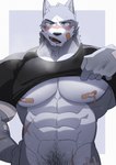 abs anthro bandage blue_eyes blush canid canine canis clothed clothing clothing_lift hachi_duchi hi_res looking_at_viewer male mammal nipples open_mouth partial_nudity pecs pubes raised_clothing raised_shirt raised_topwear scar shirt shirt_lift simple_background solo topwear