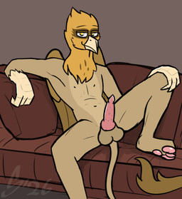 anthro bedroom_eyes furniture genitals knot looking_at_viewer male narrowed_eyes penile_spines penis seductive sitting sofa solo sombird mythology avian gryphon mythological_avian mythological_creature hi_res