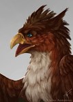 ambiguous_gender beak blue_eyes brown_body brown_feathers feathered_wings feathers feral simple_background solo wings yellow_beak morsylvia mythology granistad avian gryphon mythological_avian mythological_creature digital_media_(artwork) hi_res