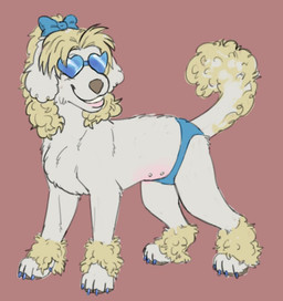 blonde_hair blue_clothing blue_panties blue_underwear bottomwear clothing eyewear femboy feral fur glasses hair male nipple_piercing nipples panties piercing simple_background smile solo tail underwear young puppyratcat nice_one_(puppyratcat) canid canine canis domestic_dog mammal poodle