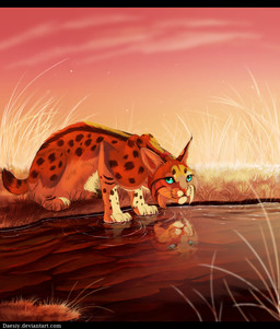 ambiguous_gender big_ears black_bars blue_eyes detailed_background feral fur grass interrupted orange_body orange_fur orange_sky paws plant reflection sky solo sunset text water daesiy felid feline lynx mammal letterbox url