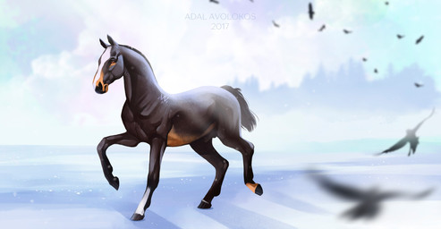 animal_genitalia black_body black_fur black_hooves black_sheath brown_eyes cloud day feral fully_sheathed fur genitals hooves ice male multicolored_body multicolored_fur outside sheath solo tail walking adalavolokos ambient_bird equid equine horse mammal 2017 dated shaded