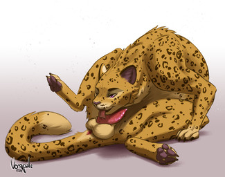 animal_genitalia animal_penis anus auto_penis_lick autofellatio balls erection feline_genitalia feline_penis feral fur genitals licking male masturbation open_mouth oral oral_masturbation pawpads paws penile penile_masturbation penis self_lick smile solo spots tail tail_anus tongue tongue_out vorpale felid leopard mammal pantherine digital_media_(artwork)
