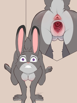 all_fours anthro anus blush body_blush breast_blush breasts butt cervix cervix_view clenched_teeth clitoral_hood clitoris countershade_torso countershading dipstick_ears doggystyle ear_markings ears_up erect_nipples female female_urethra from_behind_position front_view gaping gaping_vagina genitals hand_on_leg humanoid_genitalia humanoid_vulva large_penetration multicolored_ears nipples pannel penetration presenting presenting_hindquarters pupils purple_eyes questionable_consent raised_tail rear_view scut_tail sex short_tail small_pupils spread_anus spread_legs spread_vulva spreading stretched stretched_pussy tail teeth translucent_penetration urethra vaginal vaginal_canal vaginal_penetration vulva vulva_blush wide_eyed wide_hips hyginx disney zootopia judy_hopps european_rabbit lagomorph leporid mammal oryctolagus rabbit 3:4 hi_res