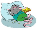 anthro bed bottomwear cheese clothing dairy_products eating food furniture grey_body lying male pillow pink_nose shirt shorts slightly_chubby solo topwear ixentrick mammal murid murine rat rodent 2024