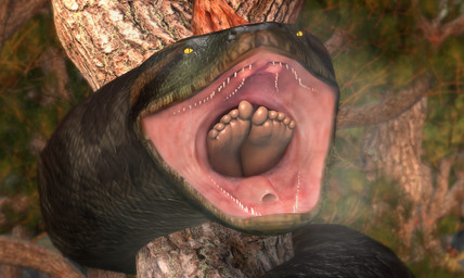 almost_fully_inside ambiguous/ambiguous ambiguous_gender barefoot coiling duo feet feral interspecies larger_ambiguous larger_feral looking_pleasured open_mouth oral_vore plant pupils serpentine sharp_teeth size_difference slit_pupils smaller_ambiguous smaller_human soft_vore steamy_breath swallowing teeth toes tree vore yellow_eyes amiafurryoraminotidkk human mammal reptile scalie snake 2024