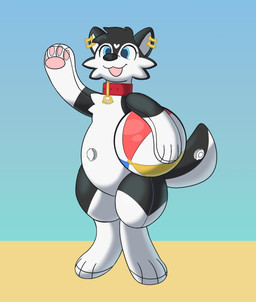 anthro ball beach_ball female inflatable inflatable_toy latex pool_toy solo squeakdepot animate_inanimate canid canine living_inflatable mammal hi_res