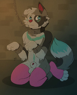 animal_genitalia anthro bound chain chained collar cuff_(restraint) genitals male penis penis_tip restraints sheath shock_collar slave solo howlart gordiethecollie border_collie canid canine canis collie domestic_dog herding_dog mammal pastoral_dog sheepdog hi_res