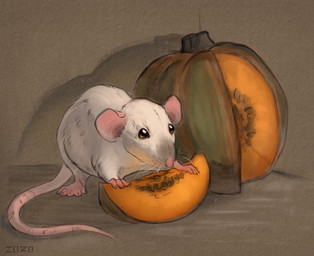 ambiguous_gender eating eating_food feral food fruit fur long_tail pink_body pink_ears pink_nose pink_skin pink_tail plant pumpkin quadruped solo tail whiskers white_body white_fur white_paws white_whiskers alexpahomov domestic_rat mammal murid murine rat rodent 2020 hi_res