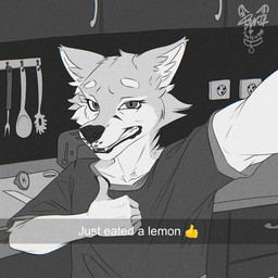 anthro appliance clenched_teeth clothing cutting_board food fruit gesture hand_gesture inside kitchen kitchen_appliance kitchen_utensils knife lemon looking_at_viewer male plant selfie shirt silly_face skinny solo teeth thumbs_up toaster tools topwear bonelesswolf canid canine fox mammal 1:1 hi_res