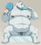 anthro balls beard belly eating facial_hair flaccid food fur genitals humanoid_hands ice kemono male moobs nipples overweight overweight_anthro overweight_male penis popsicle sea_salt_ice_cream sitting solo white_body white_fur redwolfalang bear mammal polar_bear ursine 2021