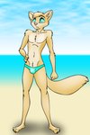 anthro beach body_hair bulge clothing feet happy_trail male outside paws seaside slim solo speedo swimwear dizzyvixen tobin_(dizzyvixen) mammal mustelid musteline true_musteline weasel hi_res