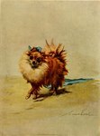 ambiguous_gender black_nose blue_ribbon brown_body brown_fur feral fluffy fur looking_at_viewer mouth_closed shadow simple_background snout solo tail tan_background tan_body tan_fur three-quarter_view walking maud_earl canid canine canis domestic_dog mammal pomeranian spitz 1910 20th_century ancient_art full-length_portrait portrait shaded signature soft_shading traditional_media_(artwork)