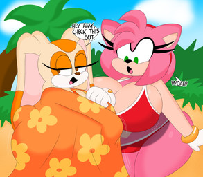 accessory aged_up anthro beach big_breasts big_ears bikini blue_sky breasts brown_eyes cleavage clothed clothing curvy_figure day dialogue duo eyelashes female floppy_ears fur glistening glistening_body glistening_fur gloves green_eyes hair hair_accessory hairband handwear huge_breasts huge_hips huge_thighs long_ears motion_lines multicolored_body multicolored_fur open_mouth open_smile orange_body orange_fur outside pink_body pink_fur pink_hair red_bikini red_clothing red_swimwear short_hair skimpy skimpy_bikini sky smile swimwear tan_body tan_fur text thick_thighs towel two-piece_swimsuit two_tone_body two_tone_fur voluptuous voluptuous_anthro voluptuous_female white_body white_clothing white_fur white_gloves white_handwear wide_hipped_anthro wide_hipped_female wide_hips 3barts sega sonic_the_hedgehog_(series) amy_rose cream_the_rabbit eulipotyphlan hedgehog lagomorph leporid mammal rabbit 2025 absurd_res digital_drawing_(artwork) digital_media_(artwork) english_text hi_res