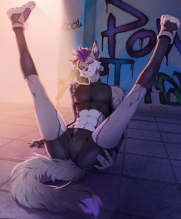 abs anthro athletic athletic_anthro athletic_male black_clothing blue_eyes bottomwear bulge butt clothed clothing ear_piercing ear_ring eyebrow_piercing eyebrows facial_piercing fingers footwear fur graffiti grey_body grey_fur hair jewelry legs_up legwear looking_at_viewer male male_anthro muscular muscular_anthro muscular_male piercing presenting purple_hair ring ring_(jewelry) ring_piercing shirt shoes shorts sitting smile sneakers socks solo spandex spread_legs spreading tail tight_clothing topwear sadih canid canine canis mammal wolf detailed digital_media_(artwork) hi_res