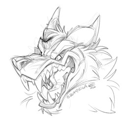ambiguous_gender angry ears_back fangs fur furrowed_eyebrows open_mouth pivoted_ears pointy_ears prick_ears sharp_teeth simple_background snarling snout solo teeth tongue white_background zillabean canid canine canis mammal wolf 1:1 digital_media_(artwork) hi_res monochrome sketch