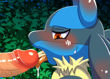 ambiguous_gender anthro blush bodily_fluids cum cum_in_mouth cum_inside cum_on_tongue disembodied_penis duo erection fellatio genital_fluids genitals human_on_anthro humanoid_genitalia humanoid_penis interspecies male male/ambiguous open_mouth oral penile penis pokephilia sex solo_focus tongue tongue_out nako nintendo pokemon generation_4_pokemon human lucario mammal pokemon_(species) source_request