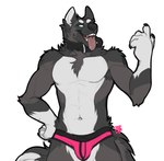 5_fingers anthro blue_eyes chest_tuft clothing collar fingers fur male multicolored_body multicolored_fur navel open_mouth simple_background solo standing tongue tongue_out tuft underwear white_background white_body white_fur dominate_(artist) canid canine mammal signature