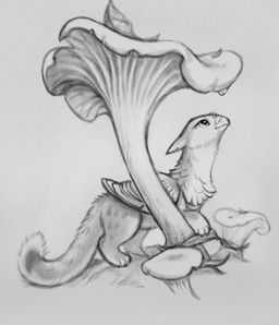 ambiguous_gender beak blue_eyes cheek_tuft claws closed_smile droplets ears_back facial_tuft feathered_wings feathers feral fluffy fluffy_chest fluffy_tail folded_wings fungus fur leaf looking_up markings mouth_closed mushroom neck_tuft paws pivoted_ears side_view simple_background smile solo spots spotted_markings standing tail tuft wings 2d10 mythology avian gryphon mythological_avian mythological_creature hi_res monochrome