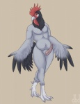2013 anthro avian beak chubby claws dbd erection looking_at_viewer male nude penis plain_background presenting rooster solo standing wings
Rating: Explicit
Score: 11
User: xes
Date: August 16, 2013