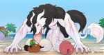 anthro balls big_balls big_butt big_penis black_body black_fur black_hair bodily_fluids butt cheek_tuft curvy_figure dripping duo erection facial_tuft fellatio fur genital_fluids genitals green_hair gynomorph gynomorph/male hair half-closed_eyes highlights_(coloring) huge_balls huge_butt huge_penis humanoid_genitalia humanoid_penis hyper hyper_balls hyper_genitalia hyper_penis intersex intersex/male macro male multicolored_body multicolored_fur narrowed_eyes nude oral oral_penetration penetration penile penis precum precum_drip precum_string sex size_difference smile tail tail_tuft thick_thighs tongue_around_penis tuft two_tone_body two_tone_fur vein veiny_penis voluptuous white_body white_fur white_highlights wide_hips jui_nichi canid canine mammal raccoon_dog sergal tanuki hi_res