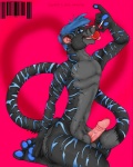 anthro balls biped blue_eyes blue_hair blue_markings candy dessert erection food genitals hair humanoid_genitalia humanoid_penis lollipop male markings nude penis solo stripes tail unknown_artist mattpanther domestic_cat felid feline felis mammal pantherine